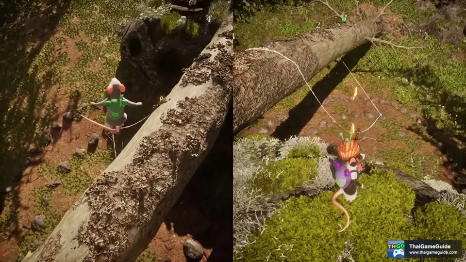 Two mice on the fallen trunk and rope in the Perfect pitch ritual